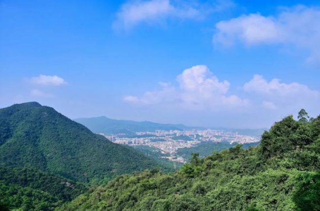 1-250222150944524 1-250222150944524